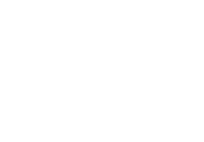 zionlandscapingservicesllc logo